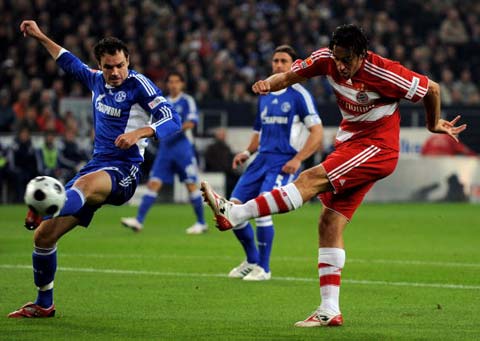 对许多粉丝 对许多粉丝